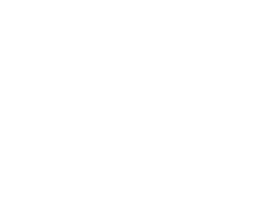 Elcore Integrators Logo